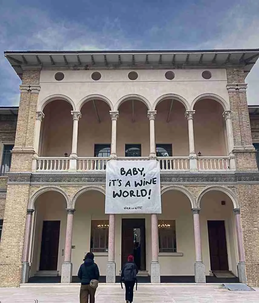 VIVA LA VITE! UNA BELLA STORIA 1 VERDINO 9914 jpg